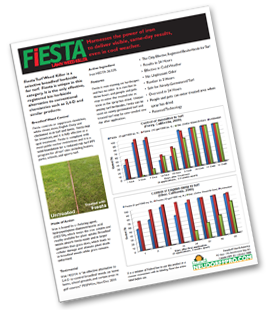 Fiesta Fact Sheet